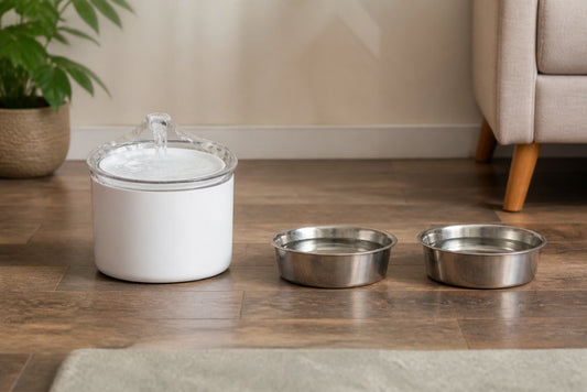 Automatic Pet Water Fountains vs Manual Bowls for Multiple Pets