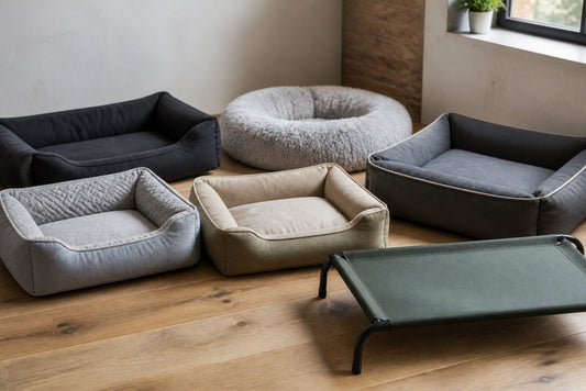 Durable Dog Beds for Chewers: 8 Best Options in 2026