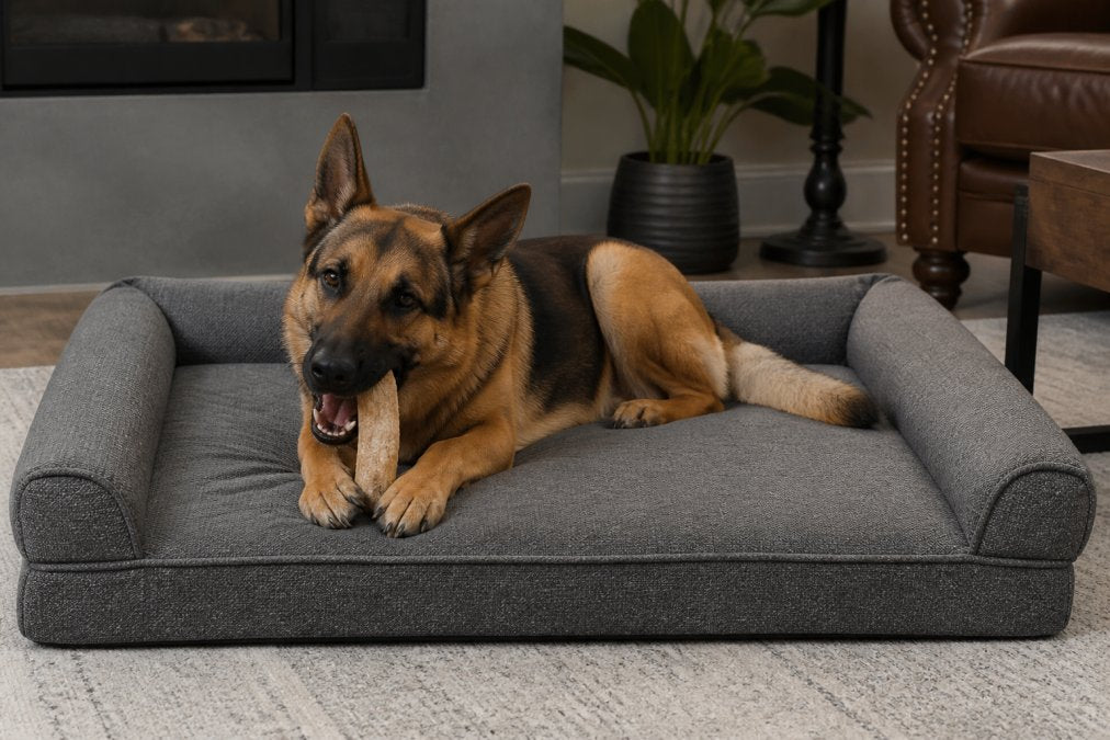 Durable Orthopedic Dog Beds for Chewers: A 2026 Guide