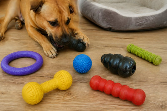 Durable Toys for Aggressive Chewers: 8 Best Picks