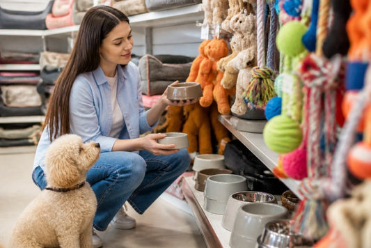 How to Choose Pet Products: A 2026 Guide