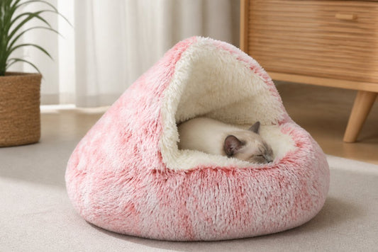 Hypoallergenic Cat Bed Materials Guide