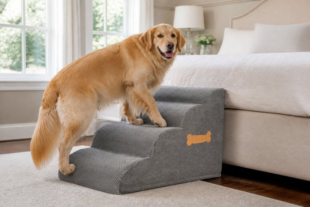 Orthopedic Support for Large Dogs: A 2026 Guide