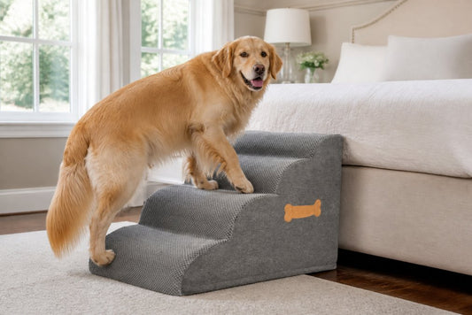 Orthopedic Support for Large Dogs: A 2026 Guide