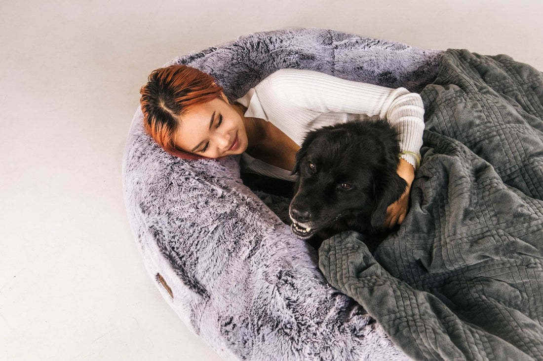 Giant Human-Size Dog Bed – Portable Pet Bed for Adults & Pets