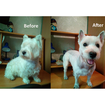 Pet Dog Hair Trimmer – Grooming Clipper for Dogs & Cats
