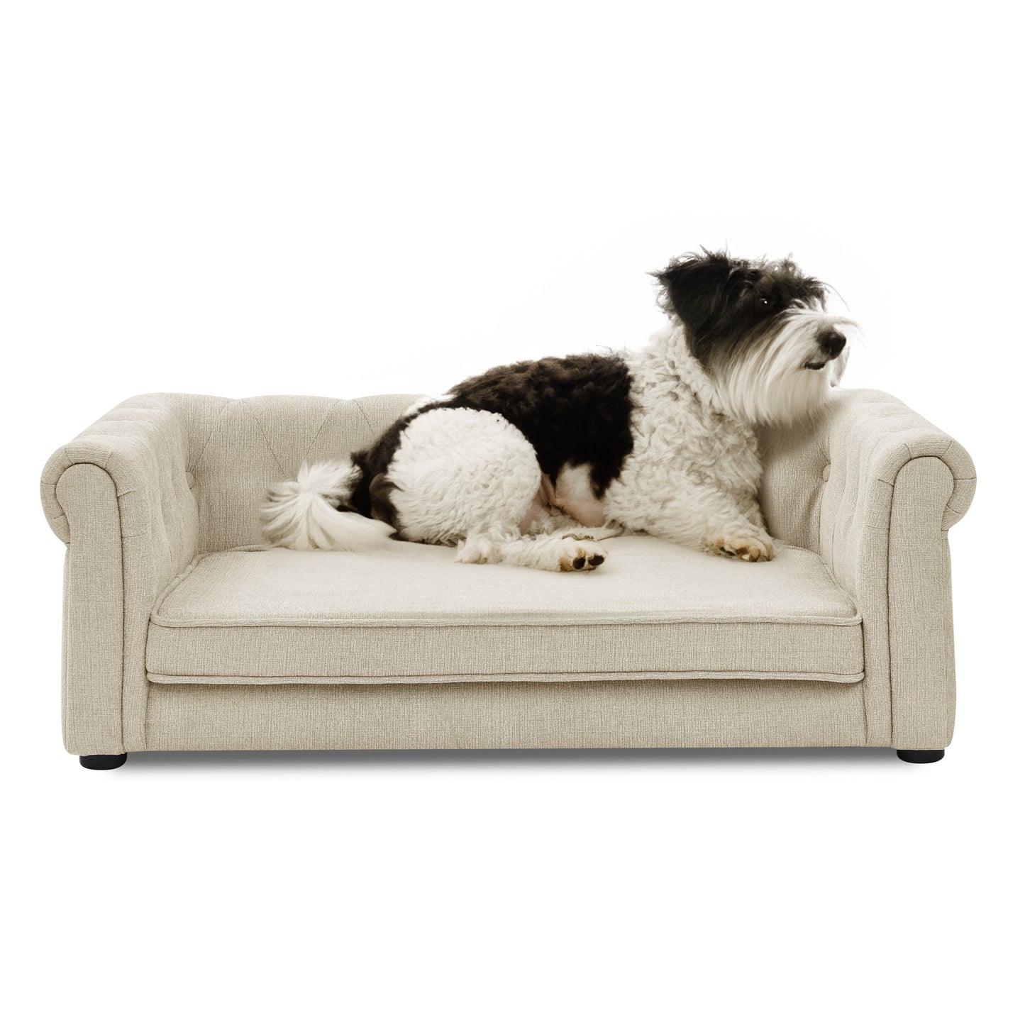 Elevated Rectangle Dog Sofa Bed – Durable Couch for Medium & Large Dogs