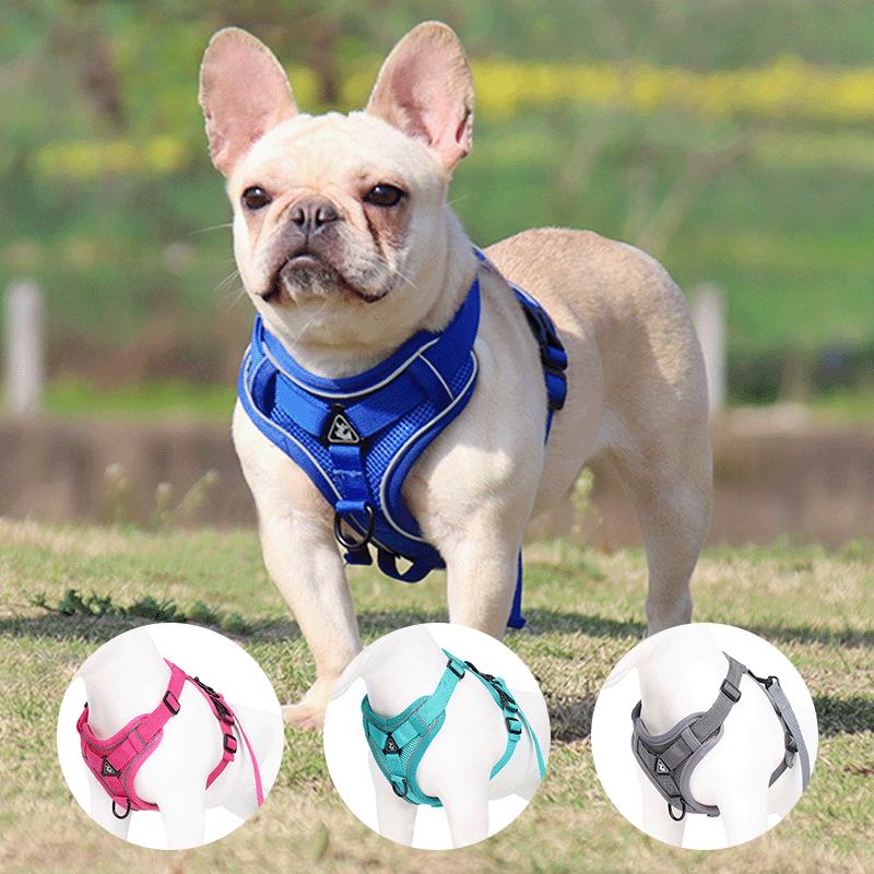 Reflective Breathable Dog Harness Vest – Pet Leash Set