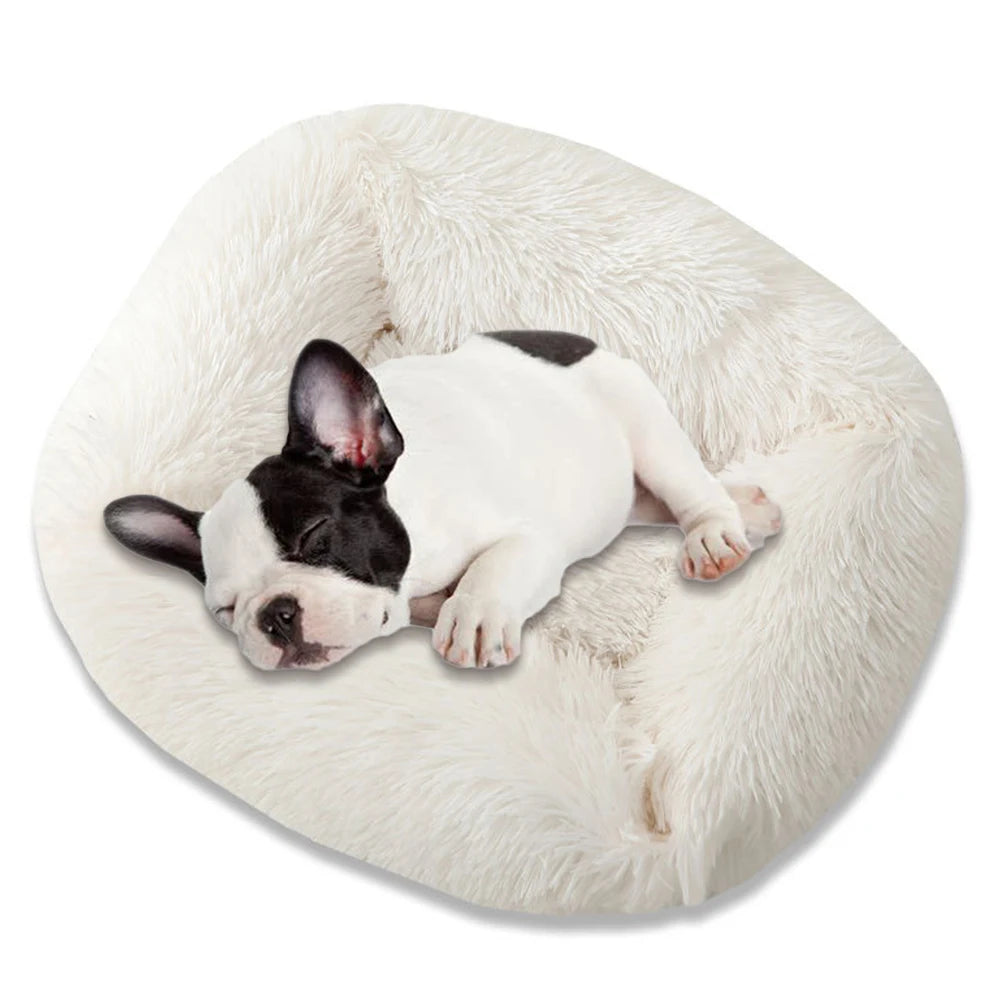 Square Plush Dog Bed – Super Soft Winter Mat for Dogs & Cats