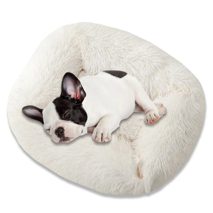 Square Plush Dog Bed – Super Soft Winter Mat for Dogs & Cats